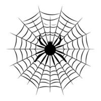 vrij spinneweb schets zwart silhouet, spin netto schets vector clip art