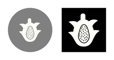 draak fruit vector icoon