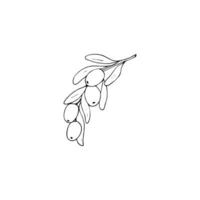 hand getekend olijf- Afdeling met bladeren en vruchten. geïsoleerd vector illustratiemet bladeren en vruchten. geïsoleerd vector illustratie
