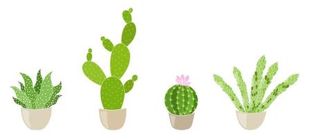 vectorillustratie van cactussen, cactuscollectie vector