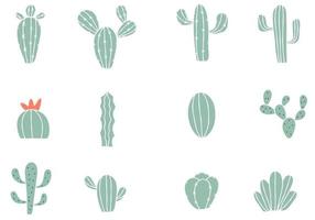 cactus collectie set vector