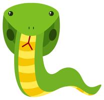 Groene cobra op witte achtergrond vector