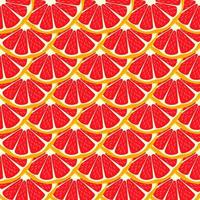 illustratie op thema grote gekleurde naadloze grapefruit vector