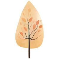 schattig waterverf boom. Scandinavisch vector bomen. kinderachtig vector illustratie