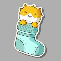 schattig kat in kawaii stijl. tekenfilm sticker kat in een sok. vector illustratie kat.