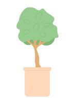 decoratief boom in pot 2d tekenfilm voorwerp. groeit kamerplant in bloempot geïsoleerd vector item wit achtergrond. binnen- fabriek ingemaakt. dwerg bonsai boom miniatuur kleur vlak plek illustratie