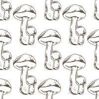 naadloos patroon van hand- getrokken boletus champignons. wijnoogst tekening. eco voedsel wijnoogst vector illustratie. schetsen illustratie voor afdrukken, web, mobiel en infographics.