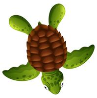 Een groene zeeschildpad op witte achtergrond vector