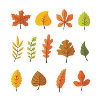 verzameling van verschillende herfstbladeren vector
