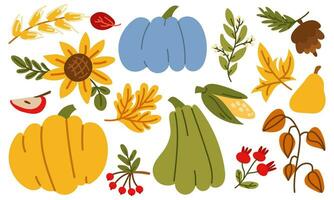 de herfst oogst heeft begonnen. vector verzameling van groenten, fruit en bessen van de boerderij met pompoenen, zonnebloemen, appels, maïs, peren, lichaamsbouw, veenbessen. grappig herfst illustratie