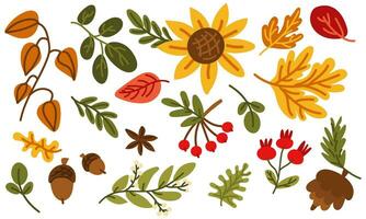 herfst verzameling van vector illustraties getrokken door hand. een reeks van cliparts met knus attributen van de herfst seizoen herfst accessoires, droog bladeren, oogst, Woud planten decoratief ontwerp elementen