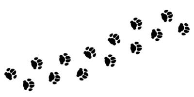 huisdier poot prints pad. huiselijk hond of puppy zwart voetafdrukken silhouetten vector illustratie Aan wit achtergrond.