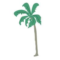 kleurrijk tropisch palm boom Aan wit achtergrond vector