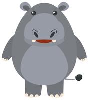 Leuke hippo op witte achtergrond vector