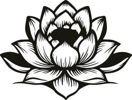 lotus vector voorraad illustraties. lotus vector voorraad afbeelding, vectoren en clip art