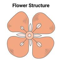 bloem structuur ontwerp vector illustratie