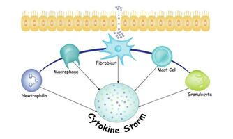 cytokine storm wetenschap ontwerp vector illustratie