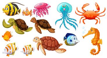 Verschillende soorten zeedieren vector