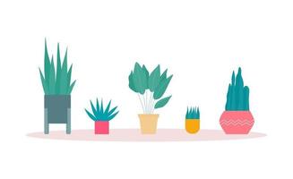 set kamerplanten platte vectorillustraties vector