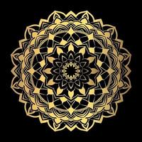 luxe mandala achtergrond etnisch element vector