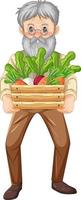 oude boer man met houten kist groente geïsoleerd vector