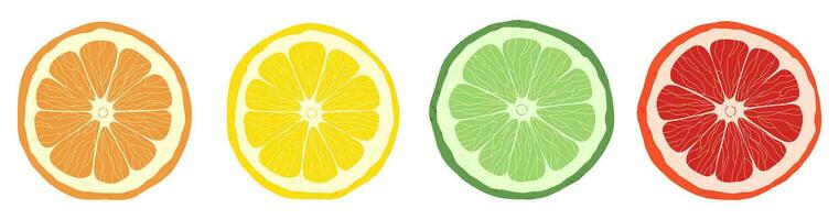 reeks van citrus plakjes van limoen, oranje, grapefruit vector