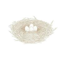 vogel nest tekenfilm lijn kunst illustratie logo vector