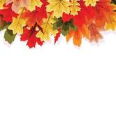 herfst natuurlijke achtergrond sjabloon met vallende bladeren vector