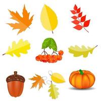 glanzende herfst natuurlijke iconen vector illustratie