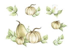 aquarel pompoenen set. herfst decoratie bloemdessin. vector