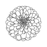 lijn tekening van mini chrysant bloem geïsoleerd Aan wit. hand- getrokken schetsen. decoratief element voor tatoeëren, groet kaart, bruiloft uitnodiging, kleur boek vector