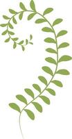 vector illustratie van groen zeewier laminaria in tekenfilm stijl. digitaal groen korstmos clip art. groen algen struik