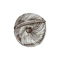 hand- getrokken schetsen van bal van draden. handgemaakt, breiwerk uitrusting concept in wijnoogst tekening stijl. gravure stijl. vector