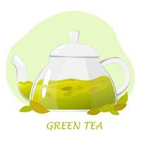 glas theepot met groen thee.transparant glas theepot met groen thee bladeren. gezond drankjes concept.vector illustratie voor cafés, advertenties, banners vector