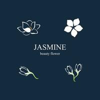 jasmijn element vector logo. ronde embleem in minimaal lineair stijl - natuurlijk Product ontwerp, bloemist, cosmetica, ecologie concept, welzijn, spa, rauw voedsel pakket.