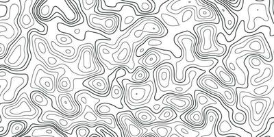 topografisch achtergrond. grijs en wit abstract achtergrond met golvend lijnen. zwart en wit patroon van lijnen en bochten. topografisch topografie vector