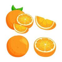 oranje. reeks van vers geheel, voor de helft, besnoeiing plak oranje fruit geïsoleerd Aan wit achtergrond. biologisch fruit vector