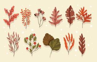 diverse herfstbladeren vector