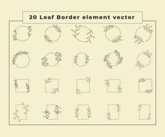 verzameling grens bladeren decoratie vector