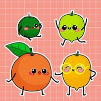 reeks van citrus familie illustratie vector
