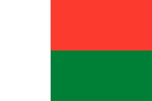 Malagasi vlag van Madagaskar vector