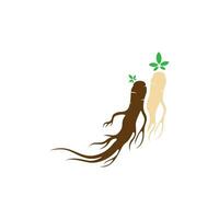 ginseng vector icoon illustratie ontwerp