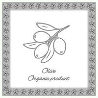olijf- biologisch Product kaart. voor olijf- Product ontwerp, winkels, markten, verpakking, etiketten voor producten van olijven vector
