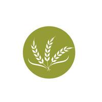 landbouw tarwe vector icoon illustratie ontwerp