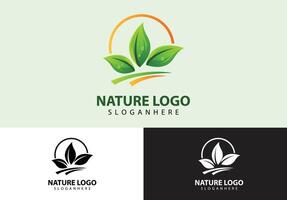 blad natuur logo concept vector