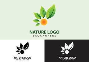 blad natuur logo concept vector