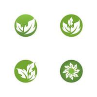 groen blad natuur fabriek conceptuele symbool vector illustratie