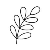 vector acacia blad tekening clip art. acacia herfst blad illustratie