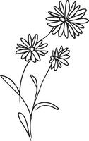 aster bloemen Afdeling van knop botanisch aster bloem hand- tekening vector illustratie, wijnoogst aster kosmos natuurlijk verzameling, gemakkelijk bloem kleur Pagina's