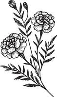 fantasie goudsbloem muur decor, goudsbloem tekening, en sticker, goudsbloem vector kunst, monochroom bloemen illustratie. inkt vector illustratie hand- getrokken potlood schetsen, een Afdeling van botanisch collectio